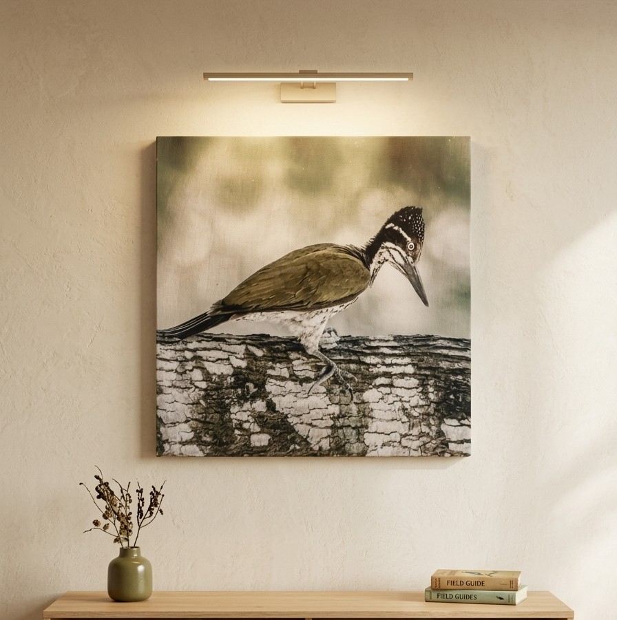 Vintage Woodpecker on Birch Branch Canvas Wall Art